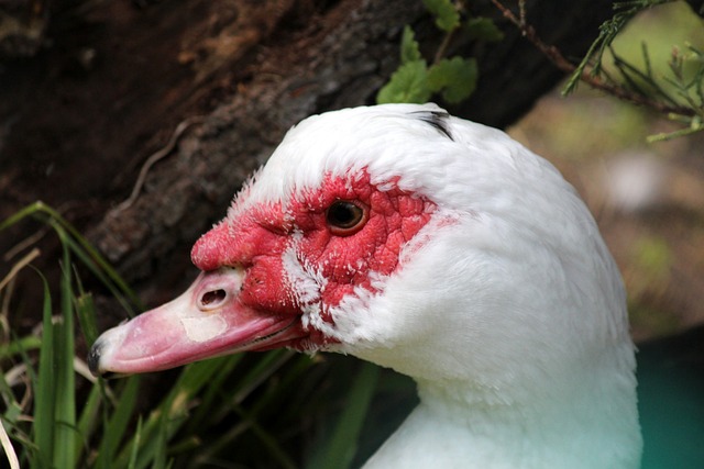 ct应用生 ct应用生