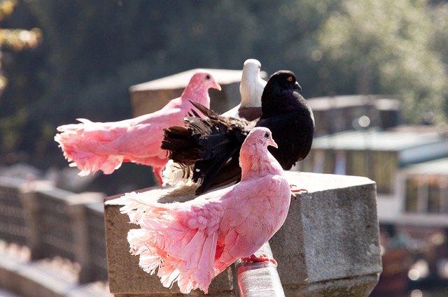 由于手表精 由于手表精