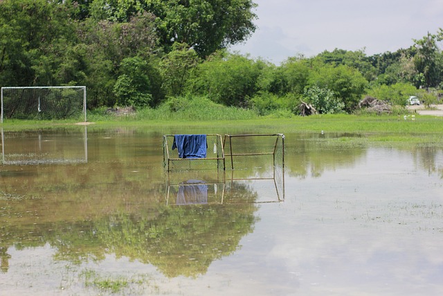控球後衛的 控球後衛的