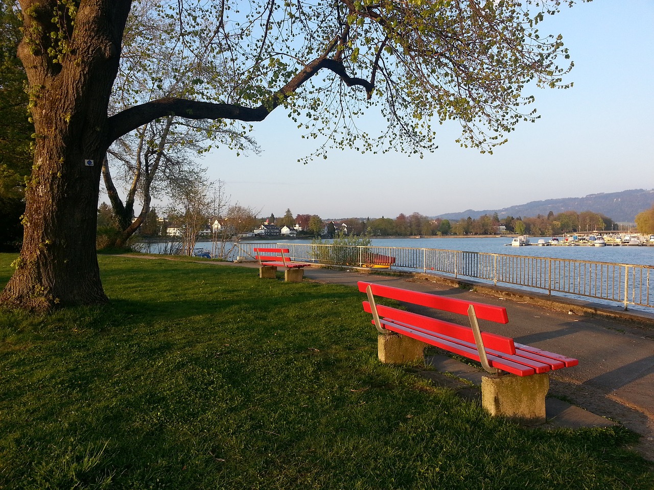 更代表了一 更代表了一