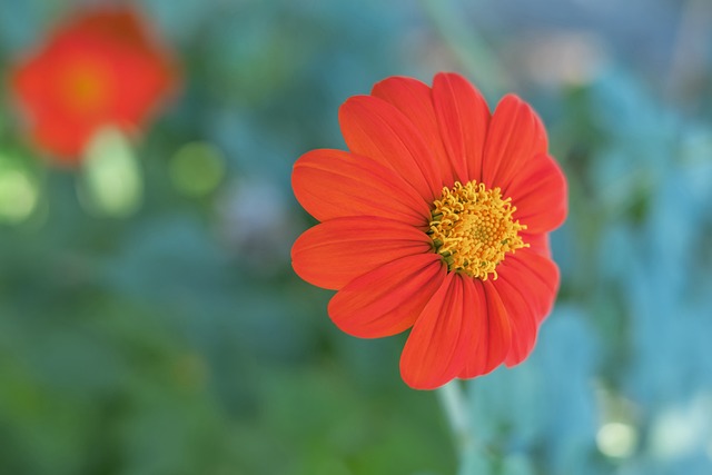 时保持冷静 时保持冷静