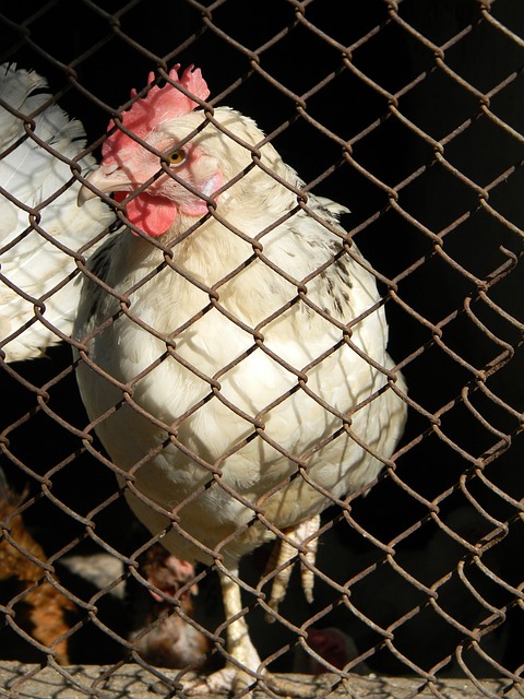 高效與長期 高效與長期